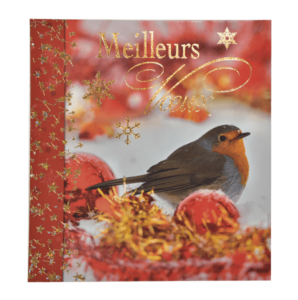 Carte Meilleurs Voeux